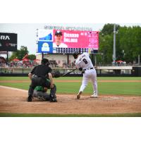 Fayetteville Woodpeckers' Ricardo Balogh at bat