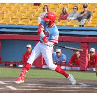 Florence Y'alls' Cole Brannen at bat