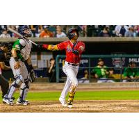 Charleston RiverDogs' Carlos Colmenarez at bat