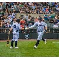 Somerset Patriots' Tyler Hardman in action