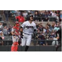 Somerset Patriots' Austin Wells on game day