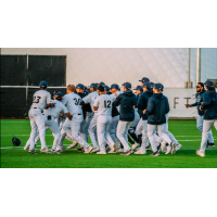 Northern Colorado Owlz celebrate win