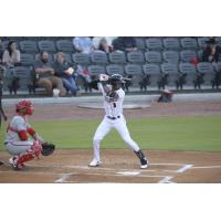 Fayetteville Woodpeckers' Narbe Cruz at bat