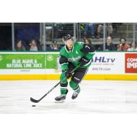 Texas Stars defenseman Alexander Petrovic