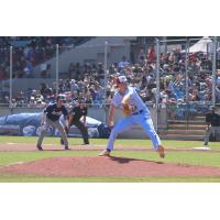 Victoria HarbourCats' Jack Seward in action