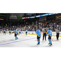 Toledo Walleye salute their fans