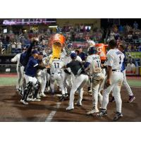 Pensacola Blue Wahoos celebrate win