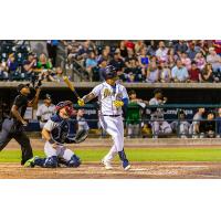 Charleston RiverDogs at bat