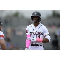 Fayetteville Woodpeckers shortstop Narbe Cruz