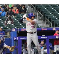 Syracuse Mets' Luke Voit at bat