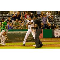 Charleston RiverDogs on game night