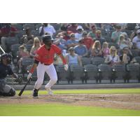 Fayetteville Woodpeckers at the plate