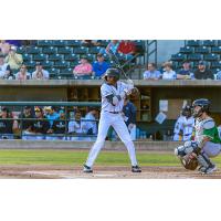 Charleston RiverDogs await a pitch