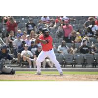 Fayetteville Woodpeckers at bat