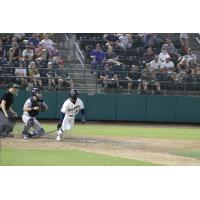 Tri-City Dust Devils' D'Shawn Knowles in action