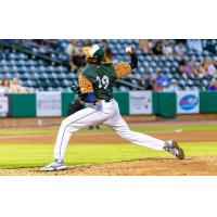 Charleston RiverDogs' Junior William  on the mound