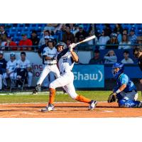 Victoria HarbourCats' Nick Dumesnil at bat