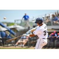 Fond du Lac Dock Spiders' Lorenzo Rios at bat