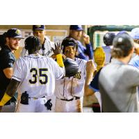 Charleston RiverDogs celebrate win