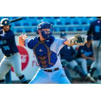 Victoria HarbourCats' Tripp Clark in action