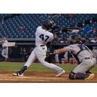 Tampa Tarpons' Christopher Familia at bat