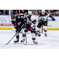 Kelowna Rockets battle the Portland Winterhawks