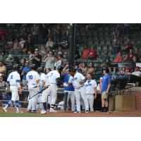 Evansville Otters' celebrate win