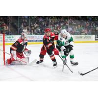 Grand Rapids Griffins goaltender Sebastian Cossa and defender Shai Buium vs. the Texas Stars