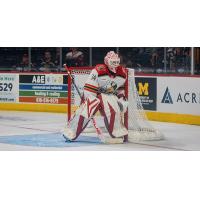 Grand Rapids Griffins goaltender Ville Husso