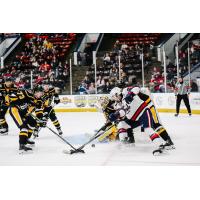 Wheeling Nailers battle the Kalamazoo Wings