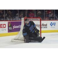 Grand Rapids Griffins goaltender Sebastian Cossa