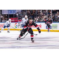 Belleville Senators defenceman Jeremy Davies vs. the Toronto Marlies