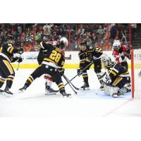 Wheeling Nailers' Louie Roehl and David Jankowski in action