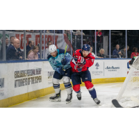 South Carolina Stingrays battle the Jacksonville Icemen