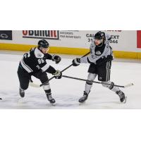 Wichita Thunder take on the Idaho Steelheads