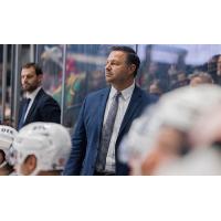 Grand Rapids Griffins head coach Dan Watson