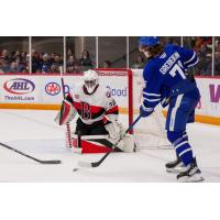 Belleville Senators' Malcolm Subban versus Toronto Marlies' Nikita Grebyonkin