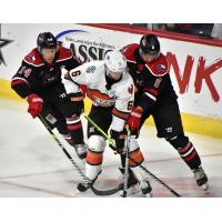 Brayden Guy and Hudson Wilson of the Allen Americans sandwich the Kansas City Mavericks