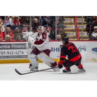 Peterborough Petes' Easton Rye and Soo Greyhounds' Justin Cloutier in action