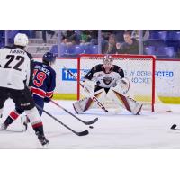 Vancouver Giants goaltender Matthew Hutchison