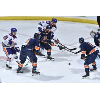 Greenville Swamp Rabbits try to control the puck vs. the Orlando Solar Bears