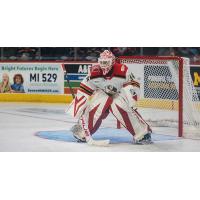 Grand Rapids Griffins goaltender Ville Husso