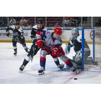 Allen Americans left wing Will Gavin fights to control a loose puck