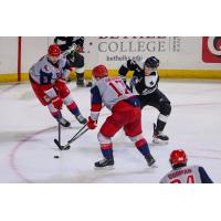 Allen Americans' Ryan Gagnon and Colin Jacobs versus Wichita Thunder's Peter Bates