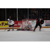 Brady Stonehouse scores for the Peterborough Petes