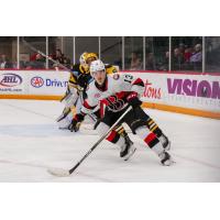 Belleville Senators right wing Xavier Bourgault