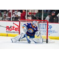 Orlando Solar Bears goaltender Ryan Fanti