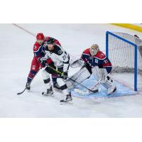 Allen Americans goaltender Anson Thornton protects the net