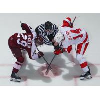 Peterborough Petes right wing Braydon McCallum (left) in the faceoff circle