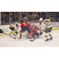 Springfield Thunderbirds goaltender Vadim Zherenko vs. the Providence Bruins